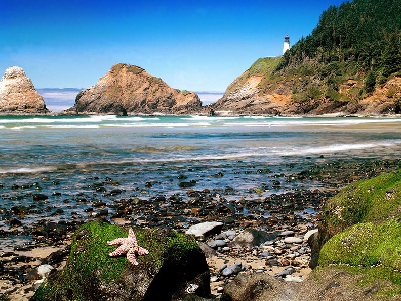 Heceta Lighthouse Coastline, Devil‘s Elbow State Park, Florence, Oregon